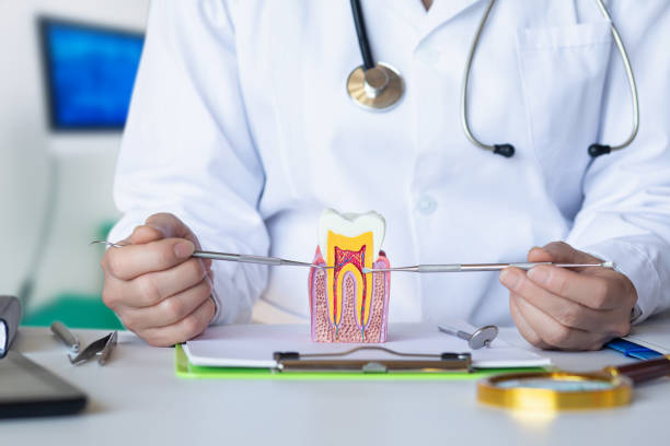 Best Broken or Cracked Tooth Emergency Dentist in Harrison, OH